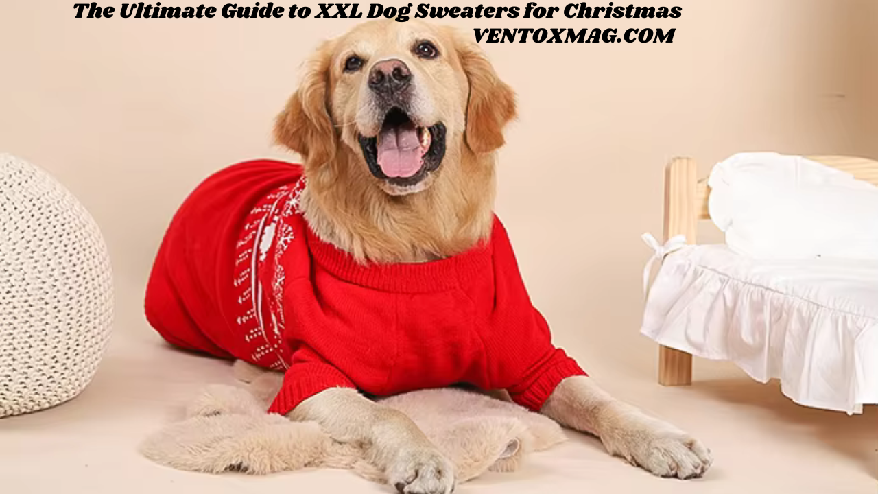 The Ultimate Guide to XXL Dog Sweaters for Christmas